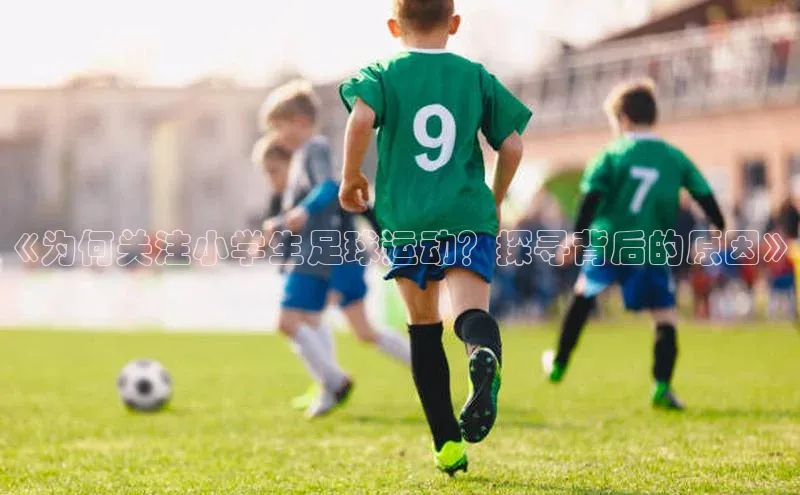 意昂4凯捷体育诸葛科技